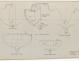 PLAN DE CONSTRUCTION - CABRETTE CRUISER NORVEGIEN 9,25 m (1957)